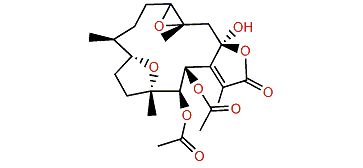 Pachyclavulariolide M